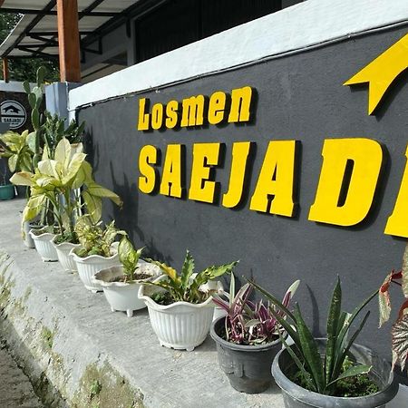 Krui Saejadi Surf And Stay ภายนอก รูปภาพ