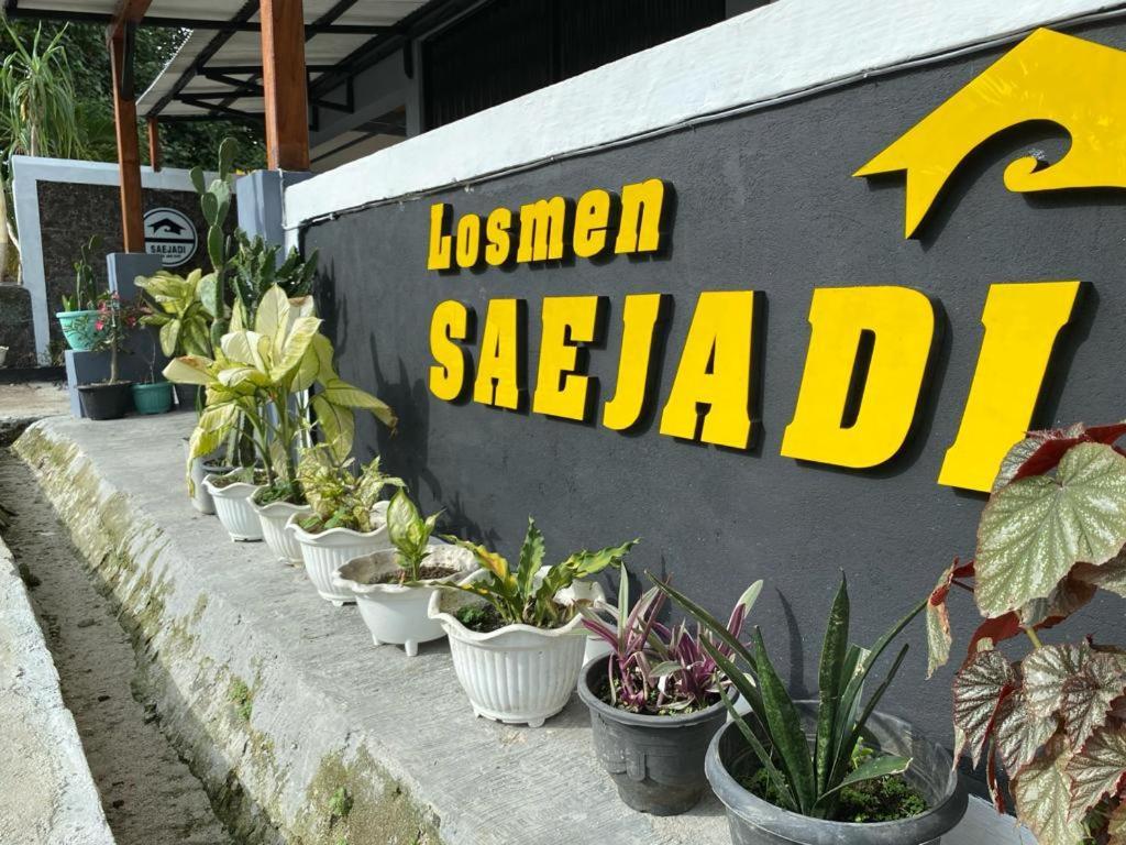 Krui Saejadi Surf And Stay ภายนอก รูปภาพ